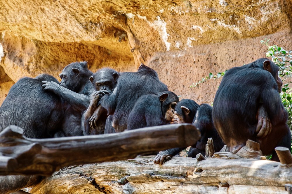 Фотография автора Гудкова Светлана