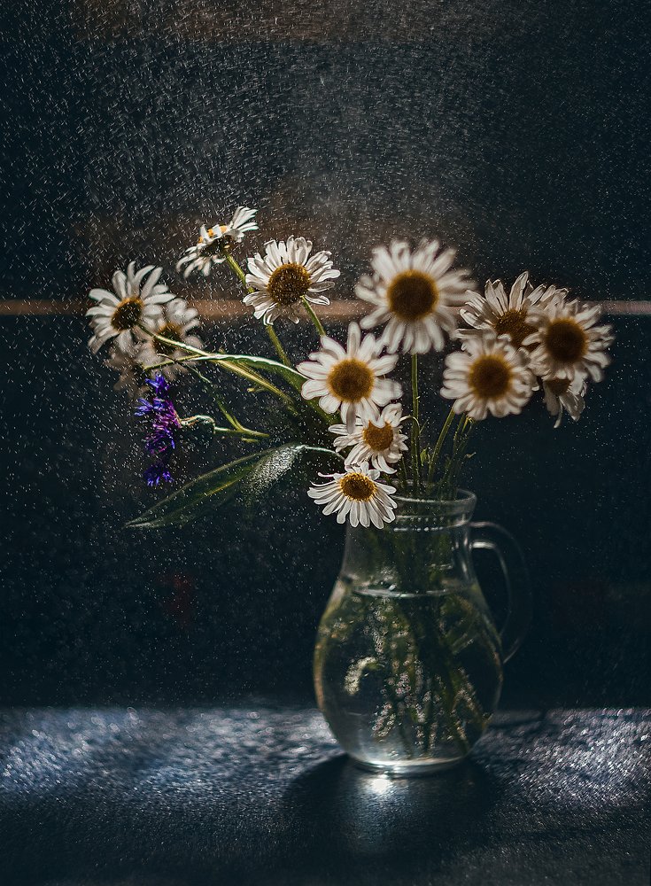 Photograph by Галина Иванова