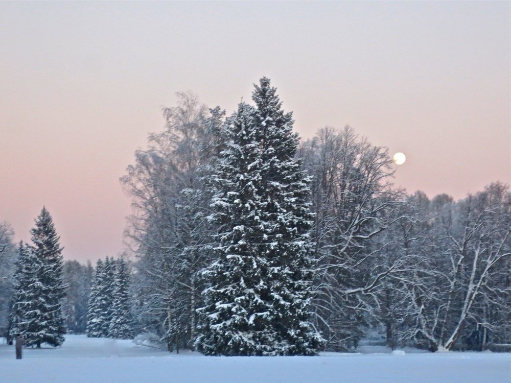 Photograph by Елена Жукова