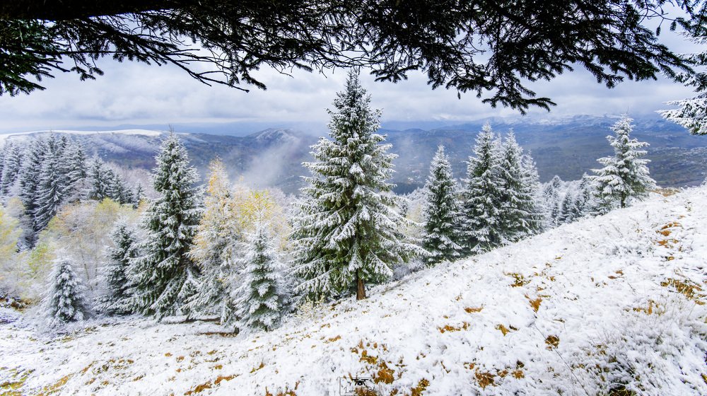 Photograph by Barbu Laurentiu