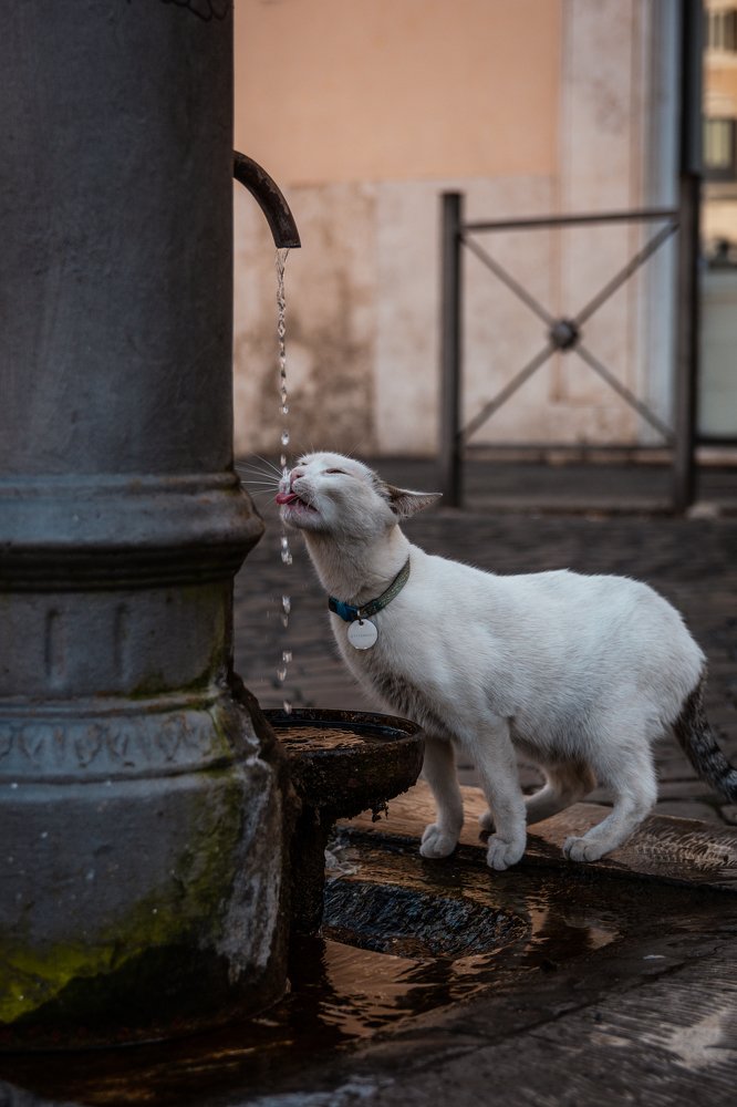 Photograph by Эвелина