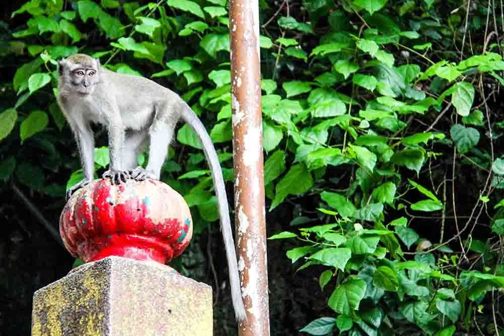 Photograph by mehdi yaghoobi