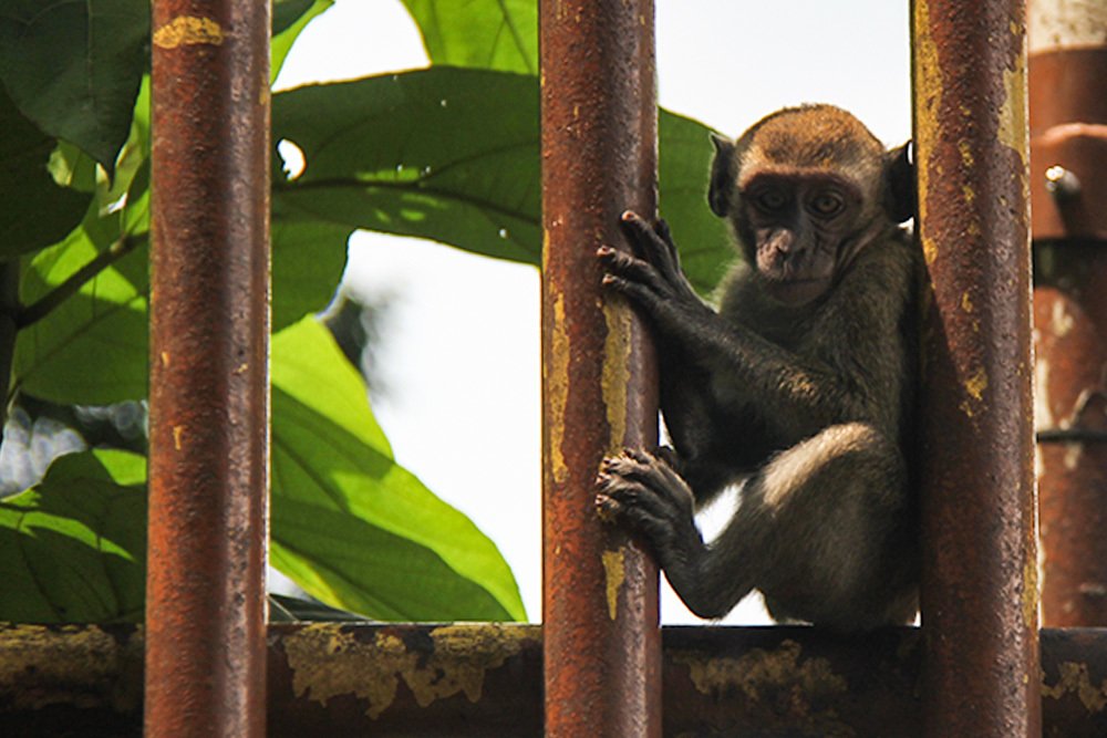 Photograph by mehdi yaghoobi