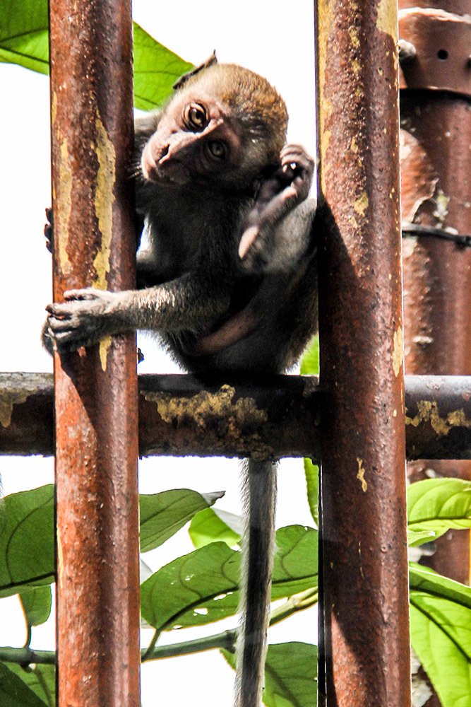 Photograph by mehdi yaghoobi