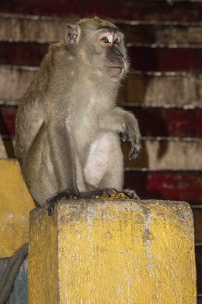 Photograph by mehdi yaghoobi