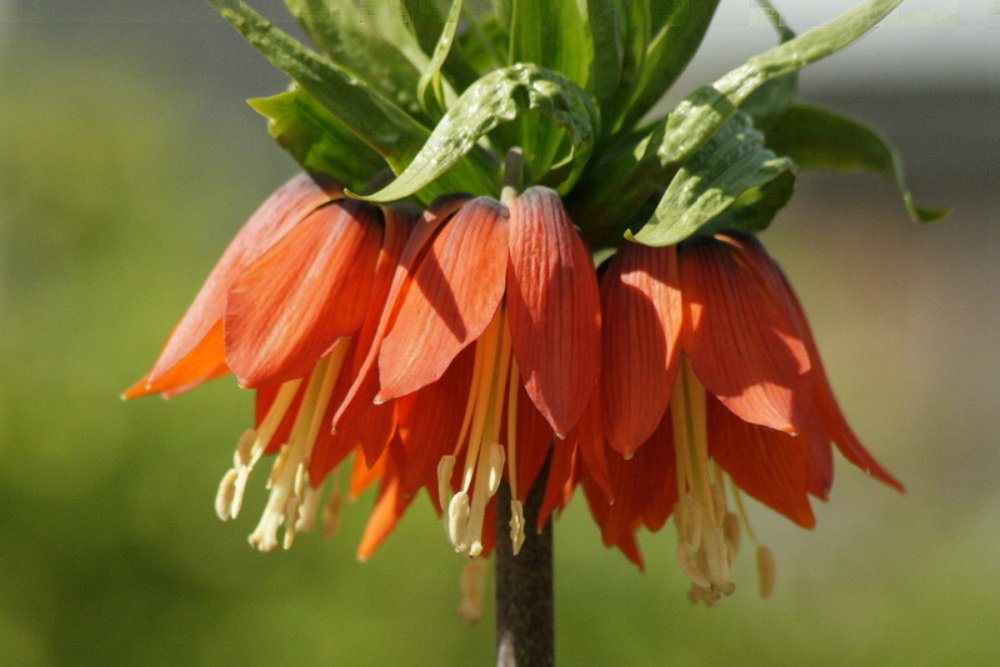 Photograph by Ирина Федичева