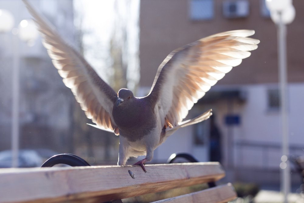 Photograph by Виктория Бурова