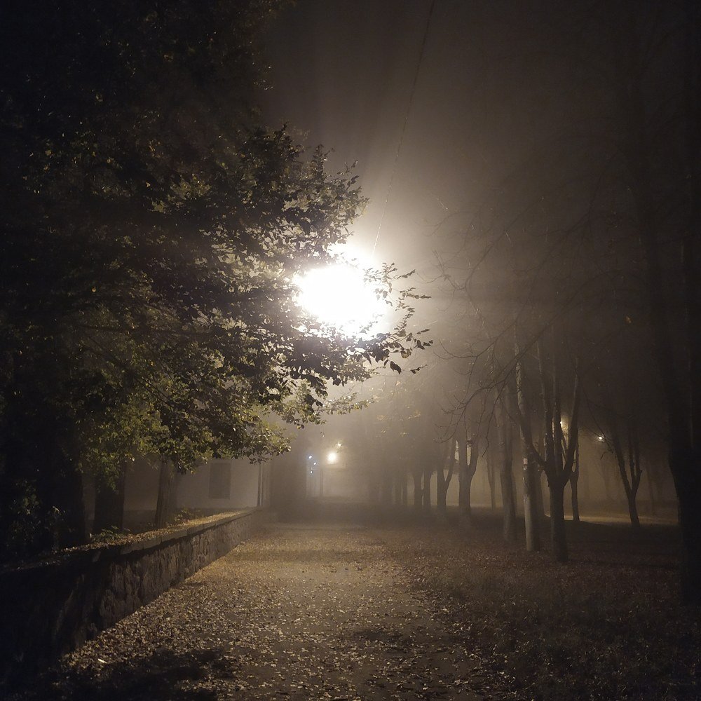 Photograph by Юлия