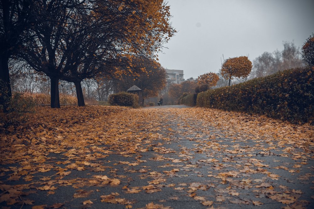 Photograph by Елена Коваленко