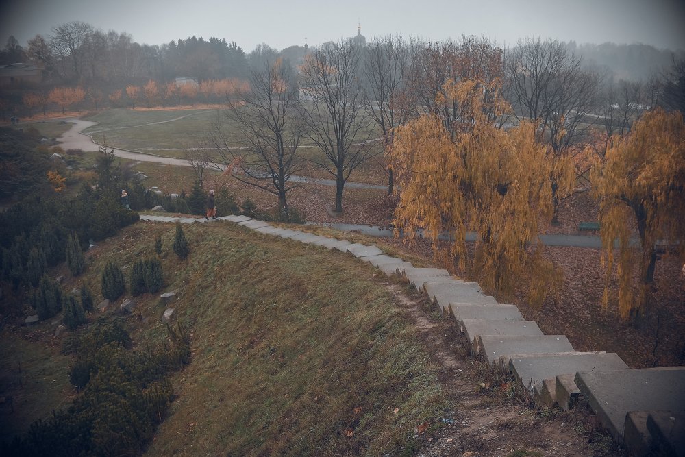 Photograph by Елена Коваленко