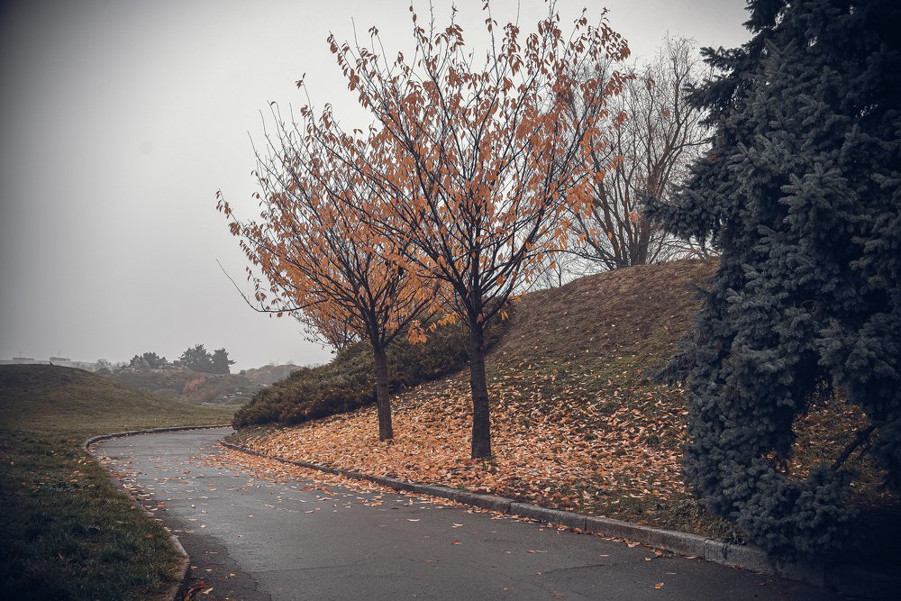 Photograph by Елена Коваленко