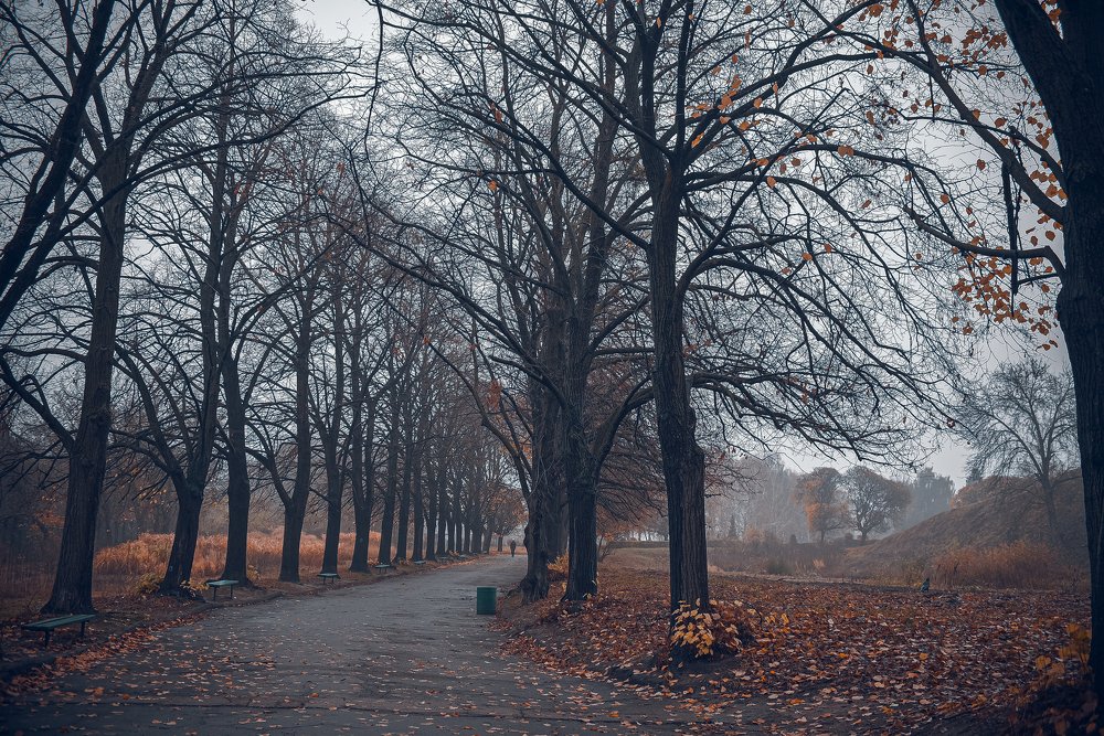 Photograph by Елена Коваленко