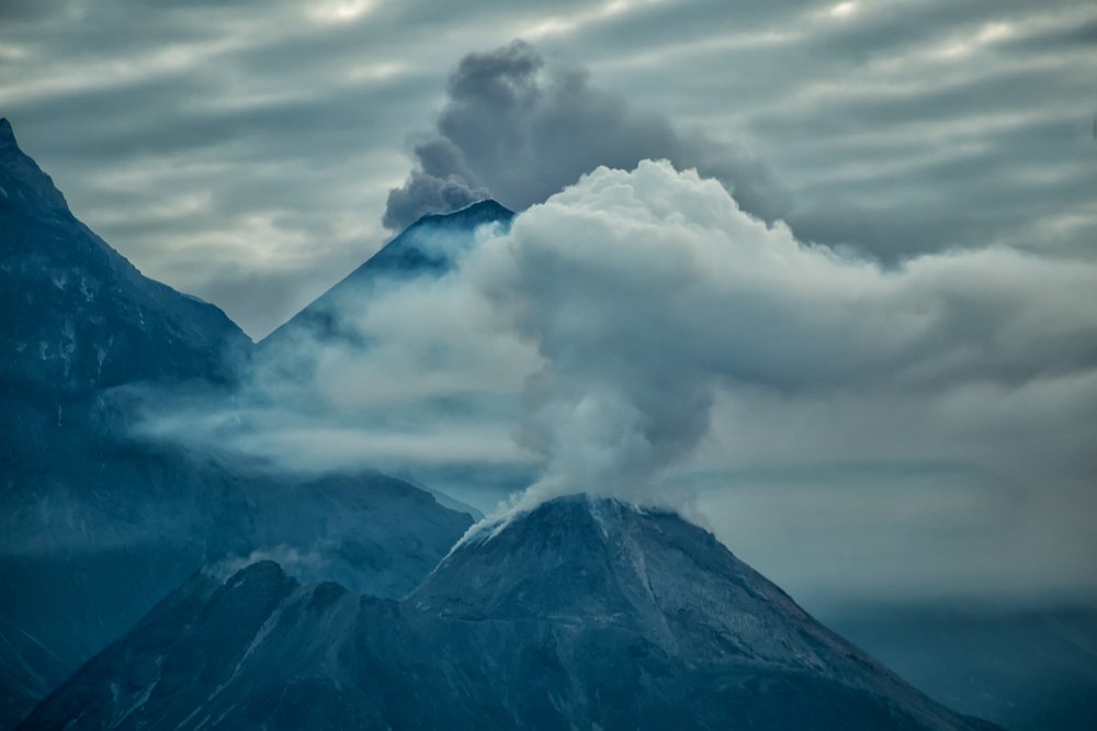 Тревожное утро