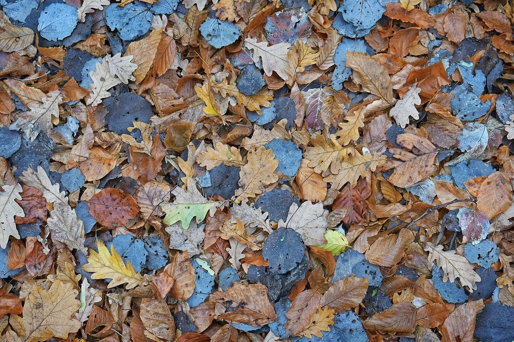 Photograph by Macinca Adrian