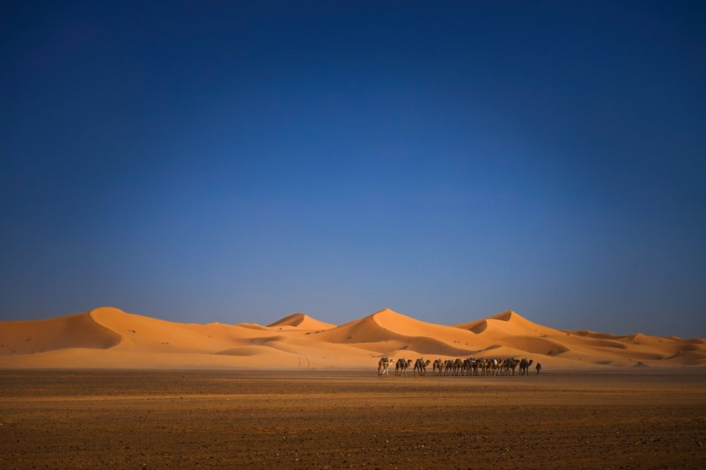 Photograph by Tatsiana Volskaya