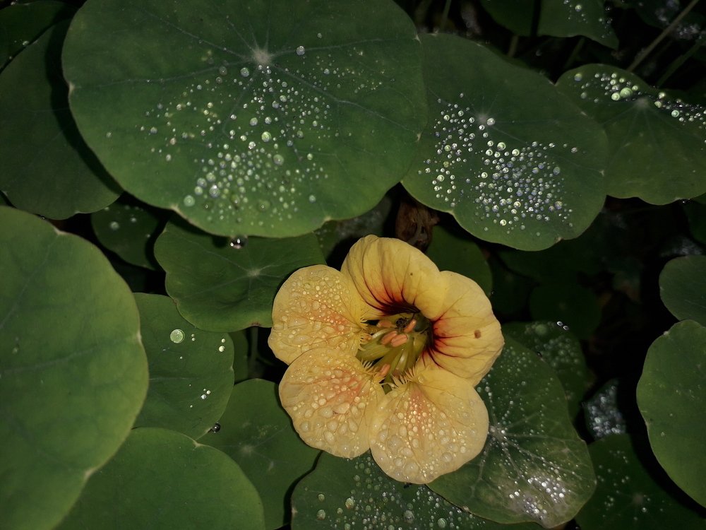 Photograph by Марина