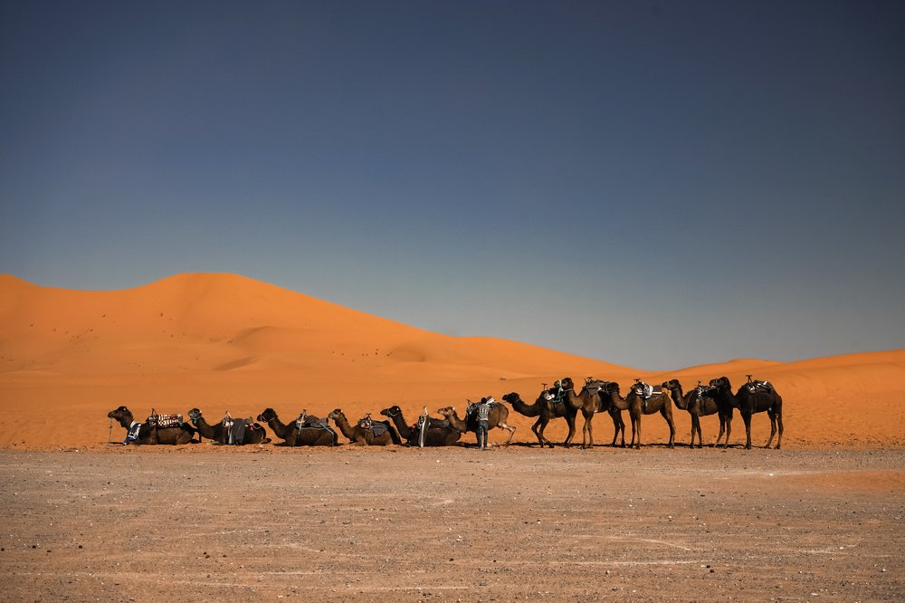 Photograph by Tatsiana Volskaya