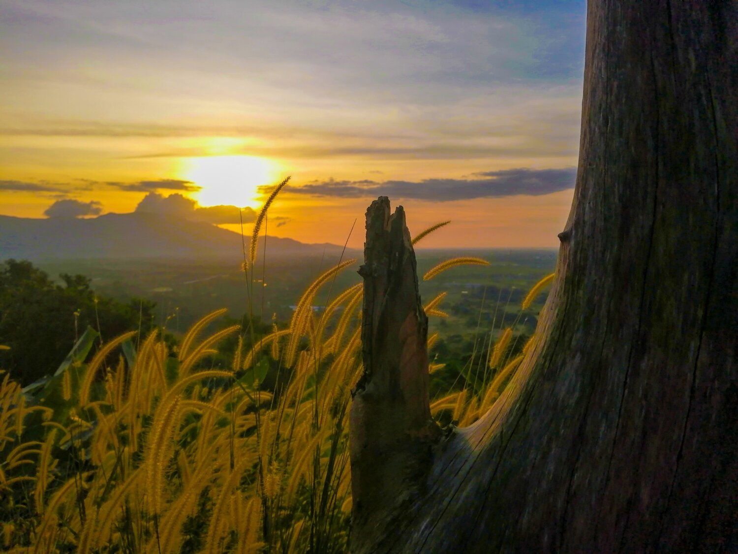 Sunset