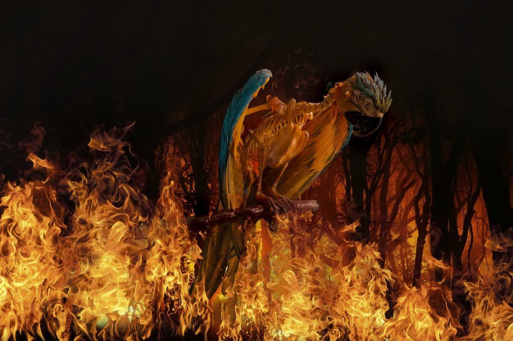 Photograph by Antonio Coelho