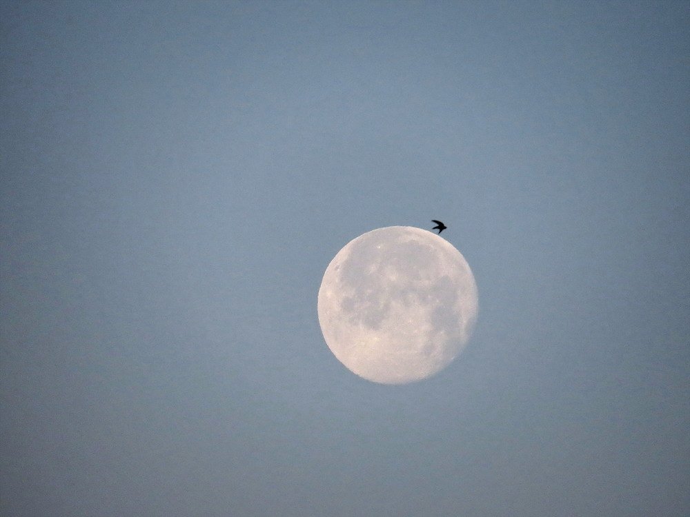 Старт с Луны