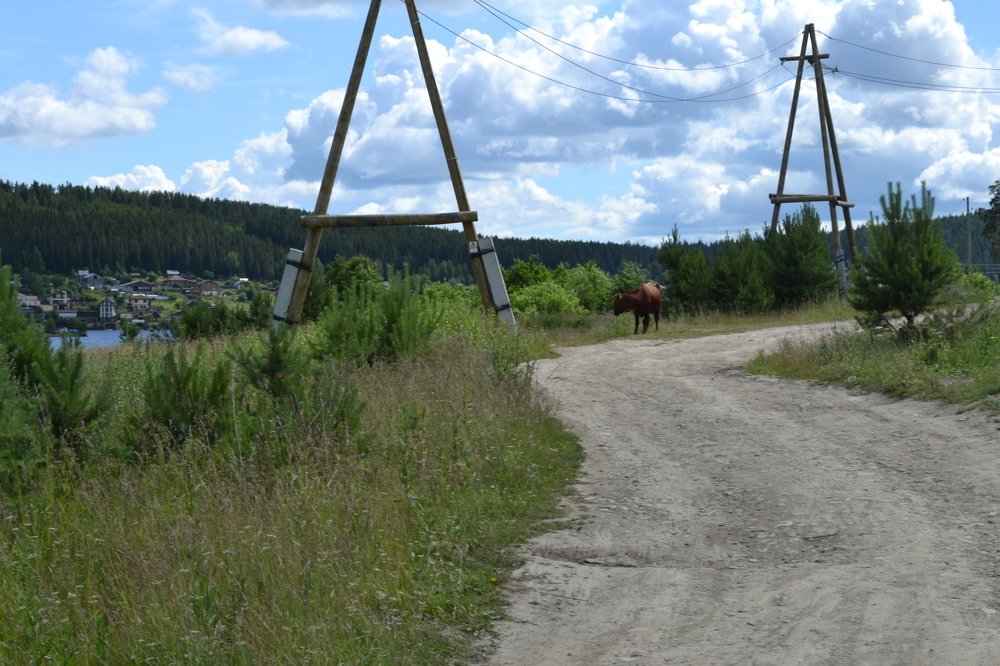 Photograph by Марина Дускаева