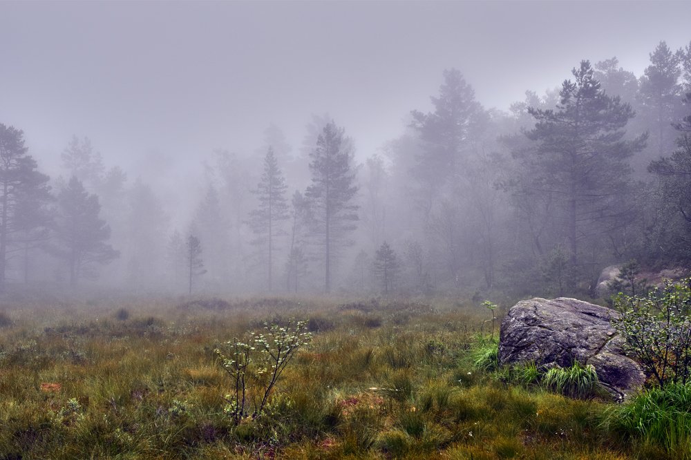 Photograph by Станислав Аникин