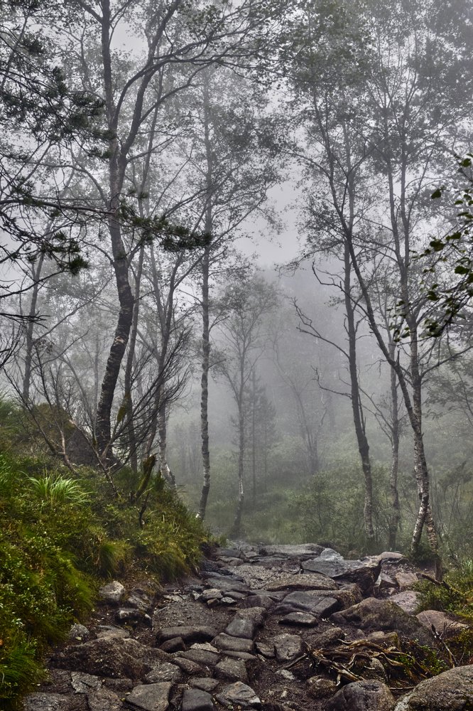 Photograph by Станислав Аникин