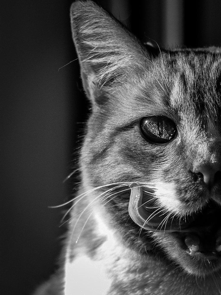 Photograph by Георгий Акопджанов