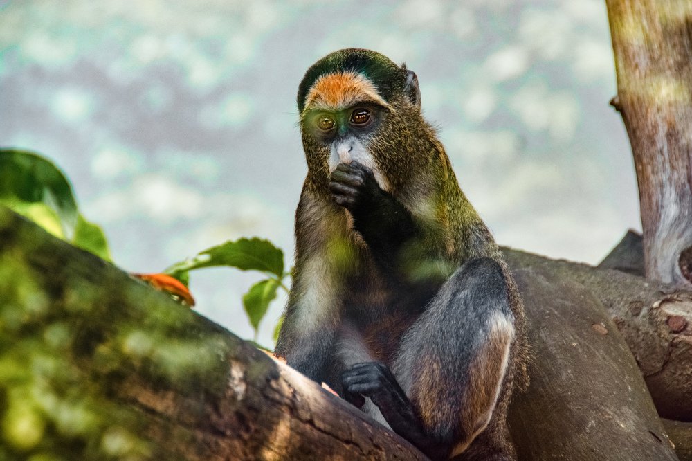 Photograph by Кристина Чижмар