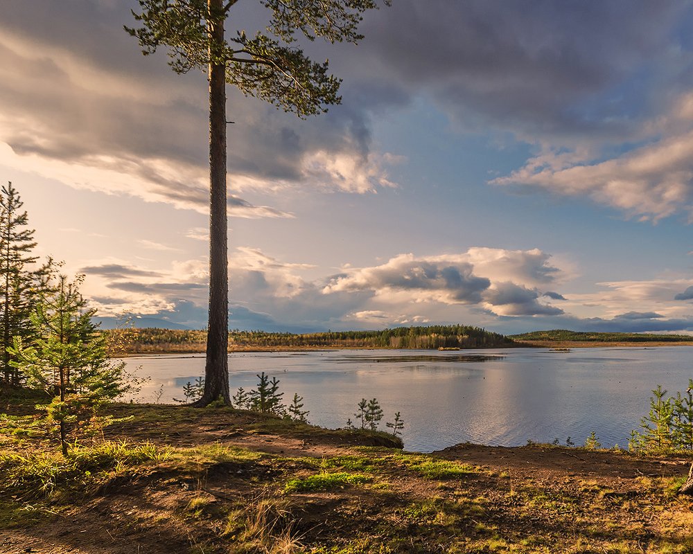 Photograph by Sergey L