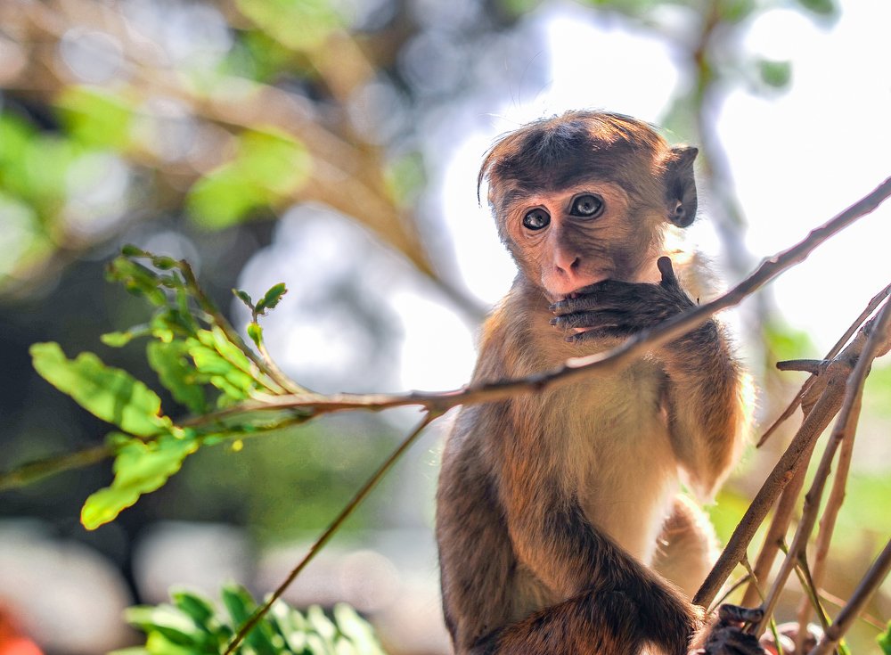 Photograph by Евгения Тимощенко