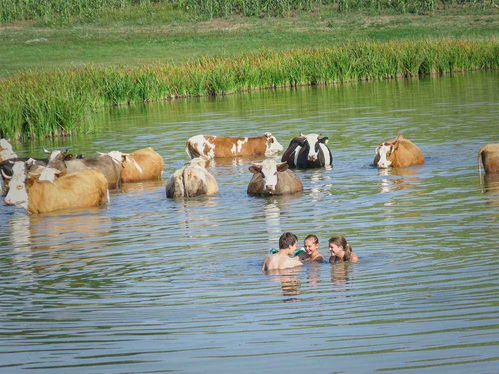 Фотография автора Teglaş Marin