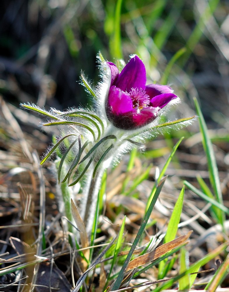 Фотография автора Teglaş Marin