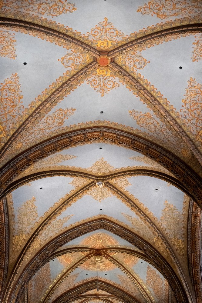 Photograph by Данил Луговой