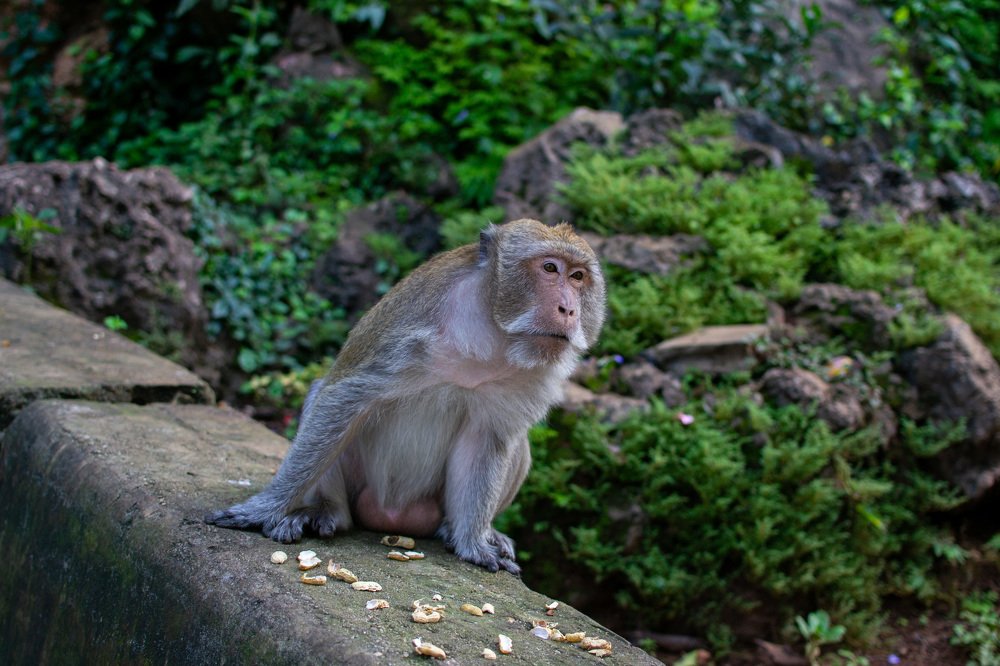 Photograph by Сергей Ярилин