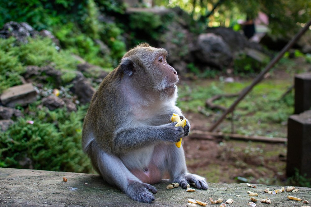 Photograph by Сергей Ярилин