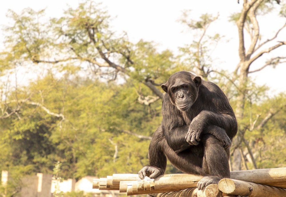 Photograph by  Анастасия Тимарг