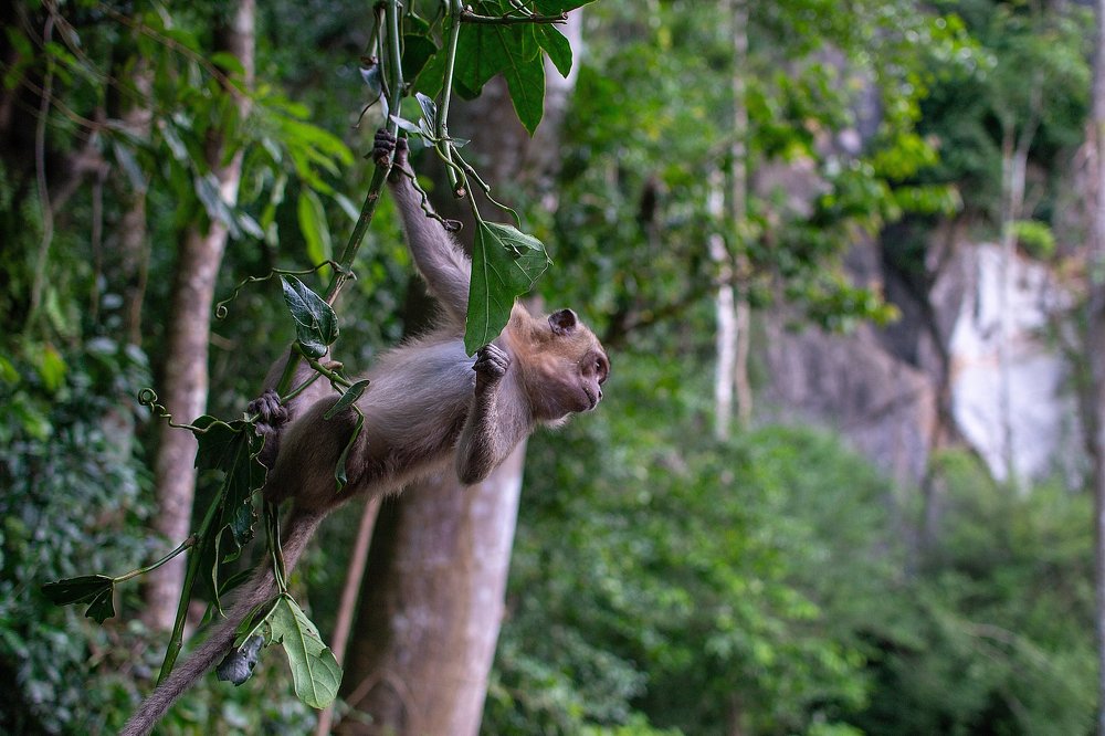 Photograph by Сергей Ярилин