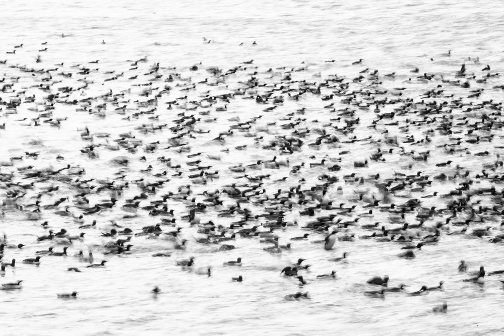 Photograph by Оксана Быстрицкая