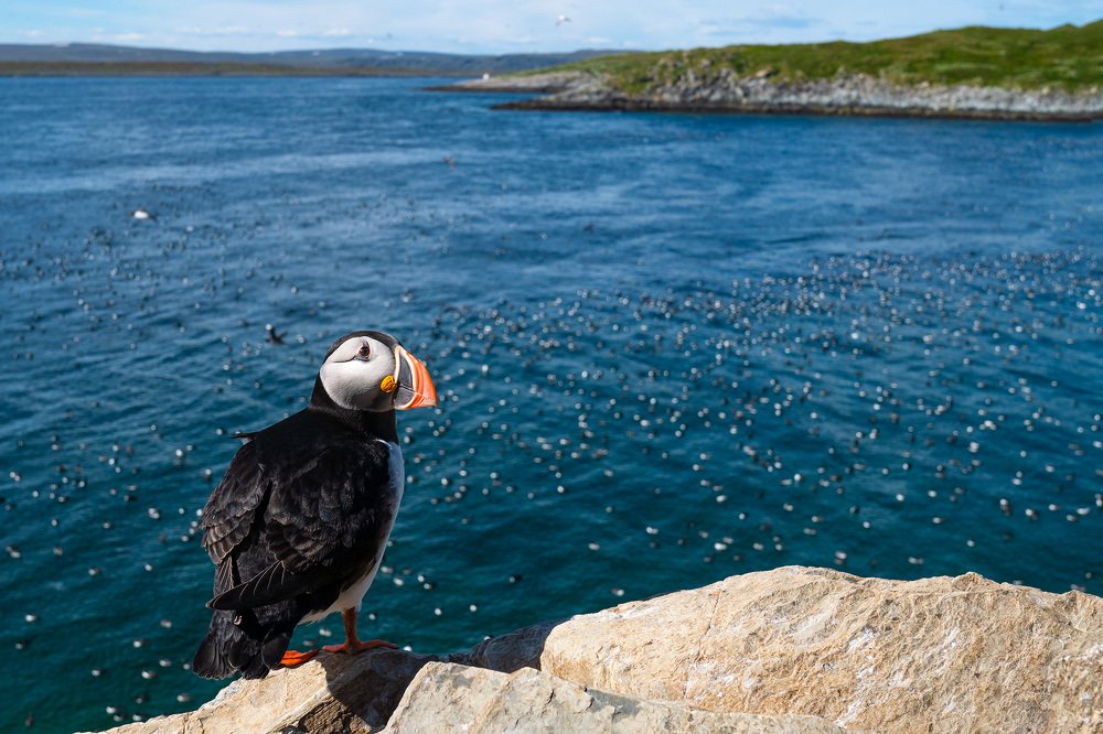 Photograph by Оксана Быстрицкая