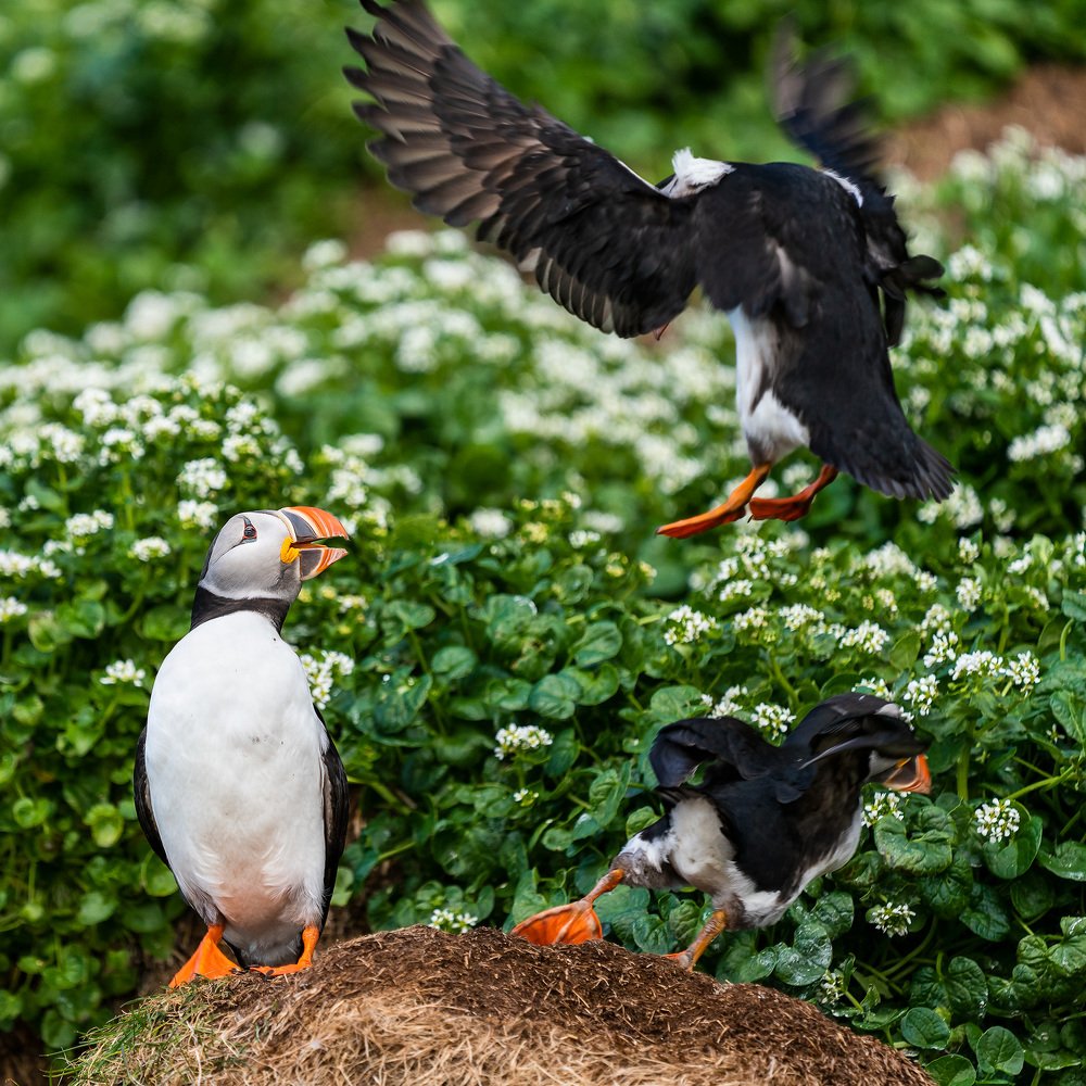 Photograph by Оксана Быстрицкая