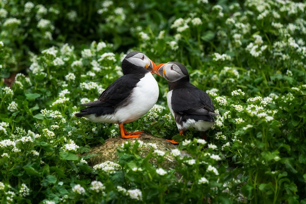 Photograph by Оксана Быстрицкая