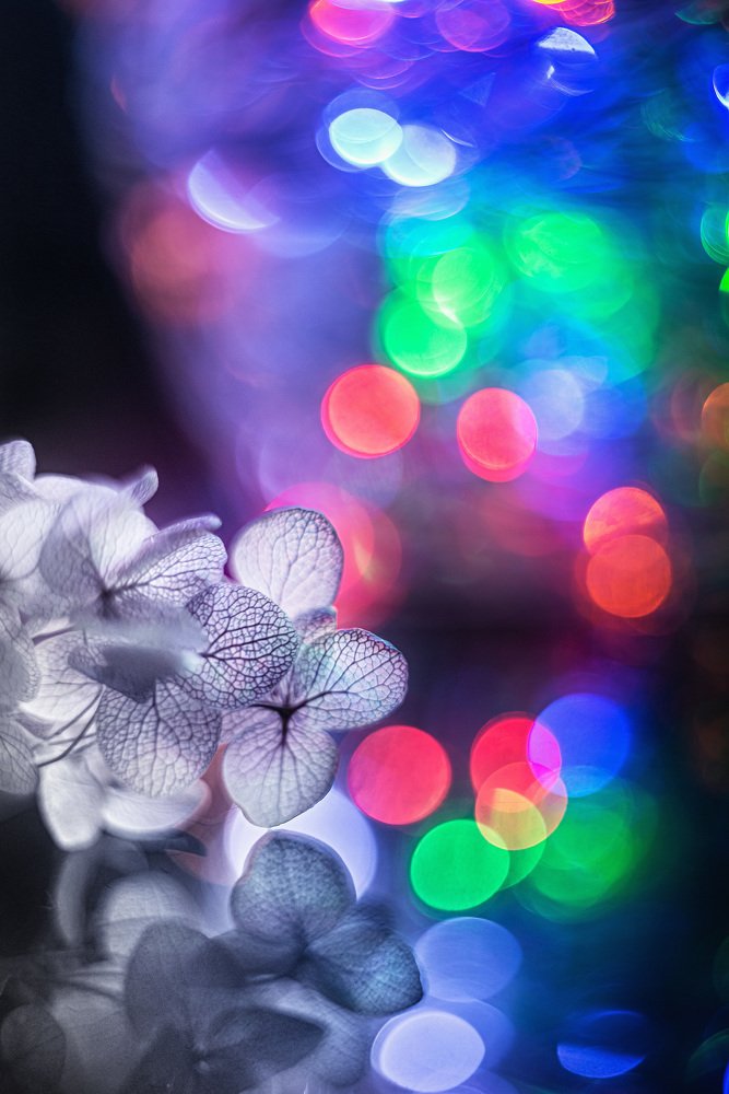 Photograph by Алексей и Юлия Дарьины