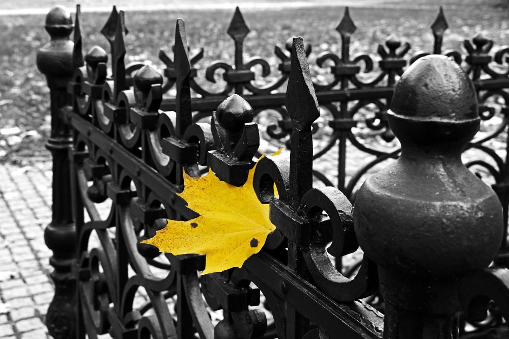 Осенняя философия