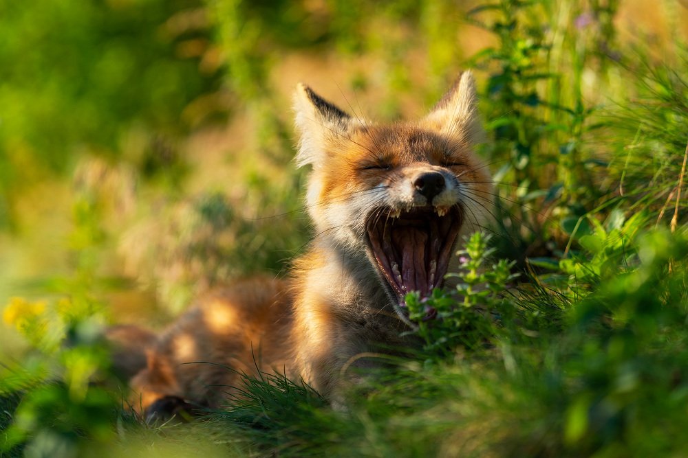 Photograph by Оксана Быстрицкая