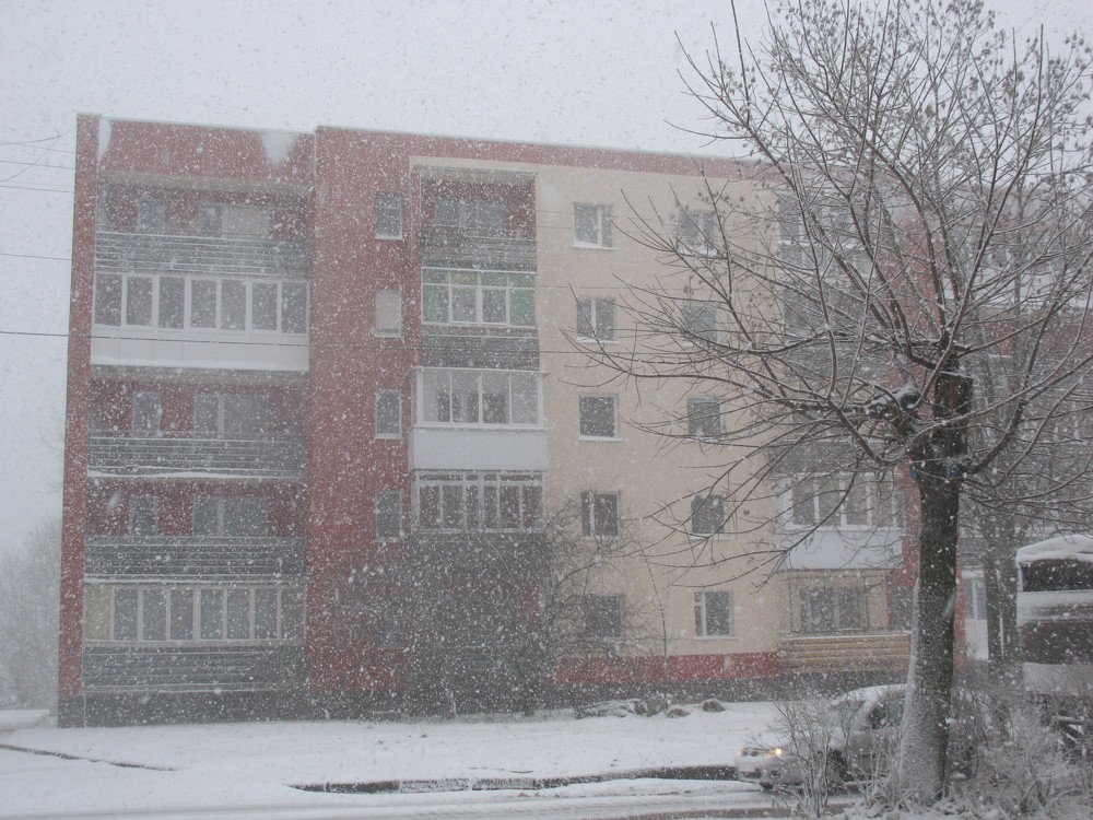 Фотография автора Нина Калинина