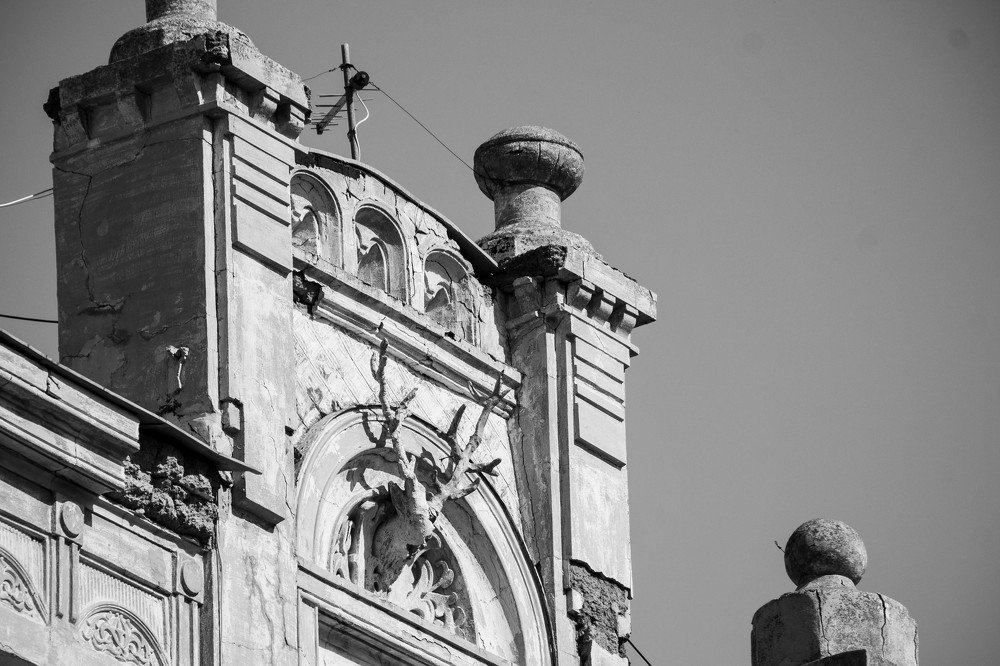 Photograph by Анна Колесникова