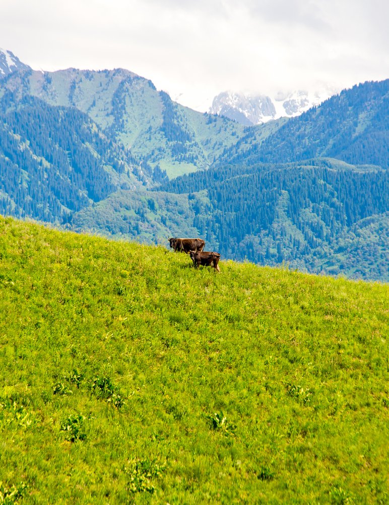 Photograph by Айзек Каниязов