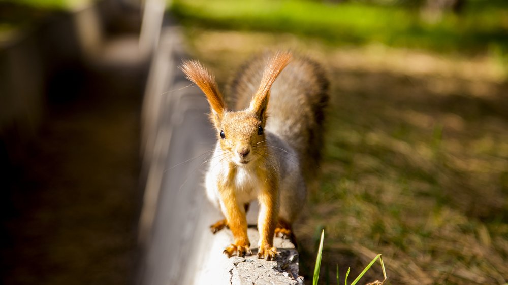 Photograph by Айзек Каниязов