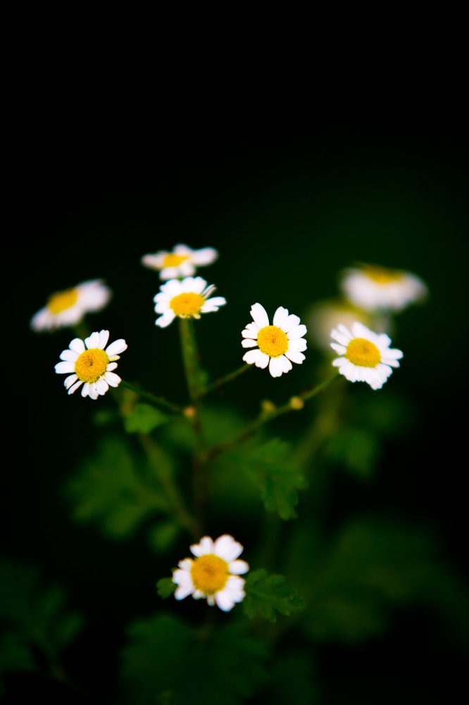 Photograph by Айзек Каниязов